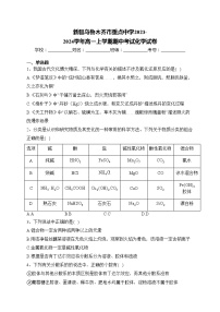 新疆乌鲁木齐市重点中学2023-2024学年高一上学期期中考试化学试卷(含答案)