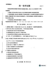 山东省德州市2023-2024学年高一上学期11月期中化学试题