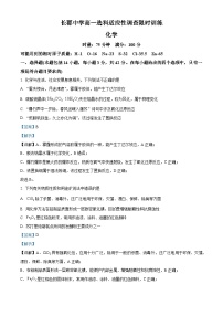 湖南省长郡中学2023-2024学年高一上学期选科适应性调研检测化学试题（Word版附解析）