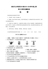 四川省雅安神州天立高级中学2023-2024学年高一上学期第三次教学质量检测化学试题