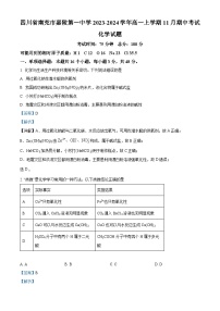 四川省南充市嘉陵第一中学2023-2024学年高一上学期11月期中考试化学试题（Word版附解析）