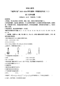 2024驻马店环际大联考“逐梦计划”高二上学期阶段考试（三）化学含解析