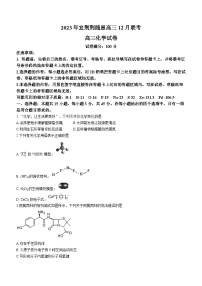 湖北省宜荆荆随恩2023-2024学年高三上学期12月联考化学试卷+