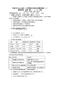 四川省凉山州宁南中学2023-2024学年高一上学期期末考试化学模拟试题（一）（Word版附答案）