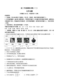 2024沧州泊头一中高三上学期11月月考试题化学含答案