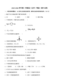 2022-2023学年上海市新中高级中学高二上学期期中考试化学试题(无答案)