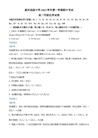 浙江省嘉兴高级中学2023-2024学年高二上学期期中考试化学试题（Word版附解析）