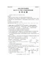 山东名校考试联盟2023年12月高三年级阶段性检测 化学