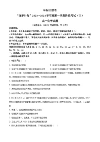 2024驻马店环际大联考“逐梦计划”高一上学期12月阶段考试（三）化学含解析