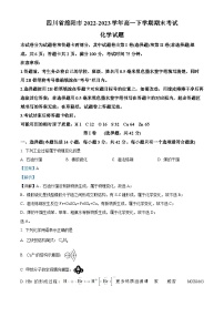 四川省绵阳市2022-2023学年高一下学期期末考试化学试题（解析版）