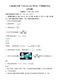 广东省湛江市第二中学2022-2023学年高一下学期期末考试化学试题（解析版）