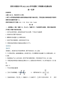 贵州省贵阳市普通中学2022-2023学年高一下学期期末考试化学试题（解析版）