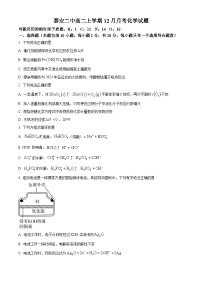 2024泰安二中高二上学期12月月考试题化学含解析