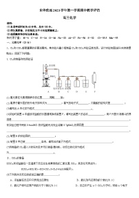 上海市东华大学附属奉贤致远中学2023-2024学年高三上学期期中化学试题（Word版附答案）