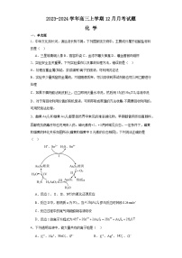 河南省南阳市新野县第一高级中学2023-2024学年高三上学期12月月考化学试题（Word版附解析）