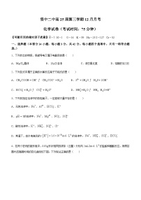 四川省内江市资中县资中二中2023-2024学年高二上学期12月月考化学试题