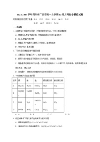 2023-2024学年四川省广安市高一上册12月月考化学试题（附答案）