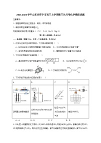 2023-2024学年山东省济宁市高三上册第三次月考化学试题（附答案）