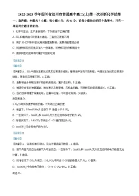 四川省达州市普通高中2022-2023学年高三上学期第一次诊断化学试卷（Word版附解析）
