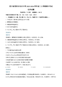 四川省资阳市乐至中学2023-2024学年高二上学期期中考试化学试题（Word版附解析）