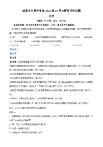 四川省成都市玉林中学2023-2024学年高三上学期10月考月考化学试题（Word版附解析）