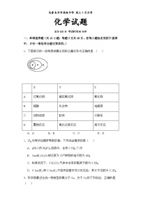 2024乌鲁木齐高级中学高三上学期1月月考试题化学含解析