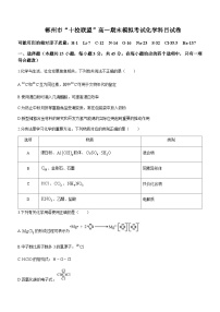 湖南省郴州市“十校联盟”2023-2024学年高一上学期期末模拟考试化学试题含答案