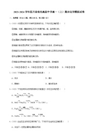 四川省南充高级中学2023-2024学年高一上学期期末化学模拟试卷含答案