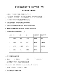 浙江省宁波市效实中学2023-2024学年高一上学期期末化学模拟卷含答案