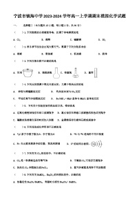 浙江省宁波市镇海中学2023-2024学年高一上学期期末模拟化学试题含答案