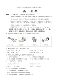 广东省茂名市信宜市2023-2024学年高一上学期11月期中考试化学试题Word版含答案