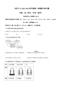 北京市第八中学2023-2024学年高一上学期期中考试化学试题含答案