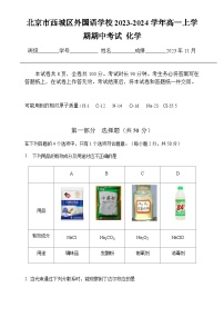 北京市西城区外国语学校2023-2024学年高一上学期期中考试化学试题含答案