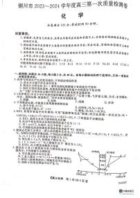 2024铜川高三上学期第一次模拟考试化学PDF版含解析