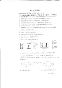 2024德州一中高三上学期1月期末考试化学PDF版含解析