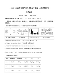 广东省梅州市梅县东山中学2023-2024学年高一上学期中段考试化学试题含答案