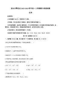 陕西省西安市鄠邑区2023-2024学年高一上学期期中质量检测化学试题含答案