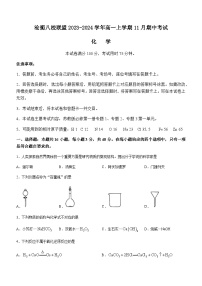 河北省沧衡八校联盟2023-2024学年高一上学期11月期中考试化学试题含答案