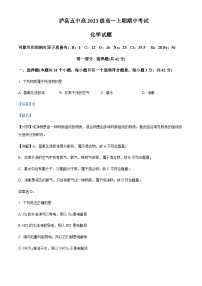 四川省泸州市泸县第五中学2023-2024学年高一上学期11月期中化学试题含答案