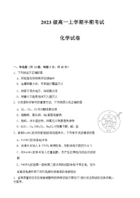 四川省眉山市仁寿县2023-2024学年高一上学期11月期中（半期）考试化学试题含答案