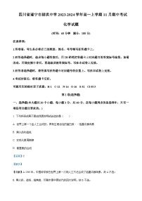 四川省遂宁市射洪中学校2023-2024学年高一上学期11月期中化学试题含答案