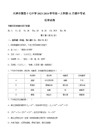 天津市第四十七中学2023-2024学年高一上学期11月期中考试化学试题含答案