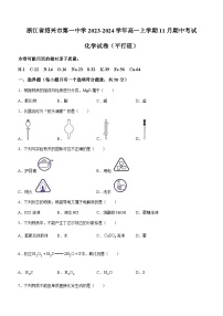 浙江省绍兴市第一中学2023-2024学年高一上学期11月期中考试（平行班）化学试题含答案