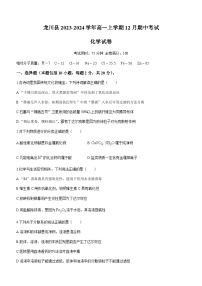 广东省河源市龙川县第一中学2023-2024学年高一上学期12月期中考试化学试题含答案