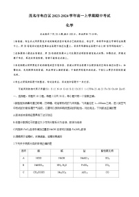 广东省茂名市电白区2023-2024学年高一上学期期中考试化学试题含答案