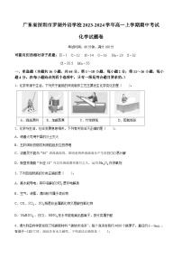 广东省深圳市罗湖外语学校2023-2024学年高一上学期期中考试化学试题含答案