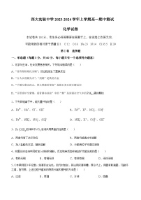 广东省深圳市深大实验中学2023-2024学年高一上学期期中考试化学试题含答案