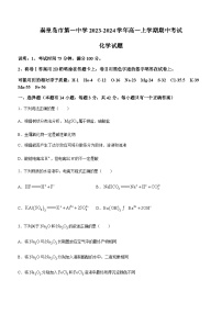 河北省秦皇岛市第一中学2023-2024学年高一上学期期中考试化学试题含答案