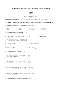 湖南省常德市部分中学2023-2024学年高一上学期期中考试化学试题含答案