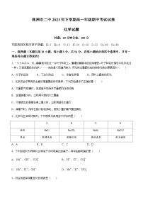 湖南省株洲市第二中学2023-2024学年高一上学期期中考试化学试题含答案